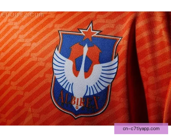 官方新潟天鹅成功续约达尼洛